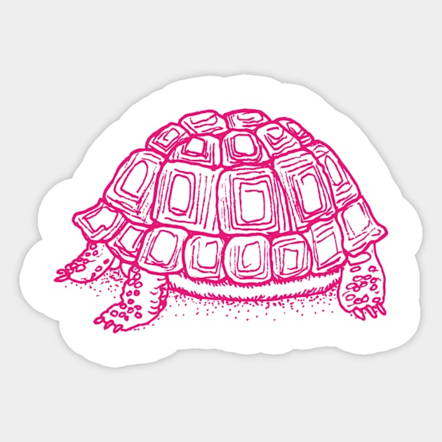 Turtle in pink Sticker by MarjolijndeWinter